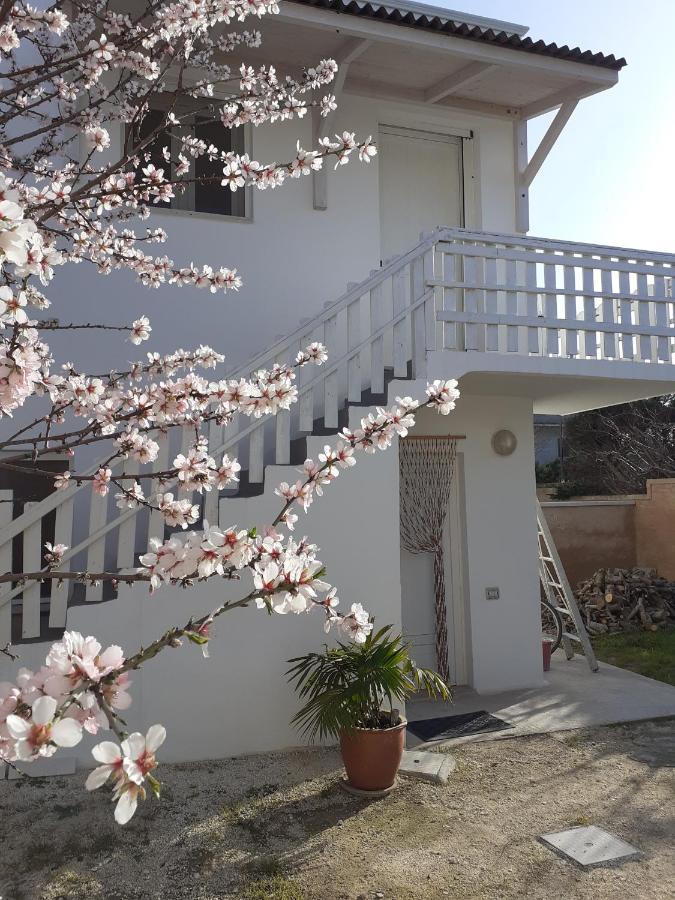 Contrada Vento Sharing Apartment *