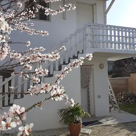 Contrada Vento Home Sharing Campomarino  Exterior photo
